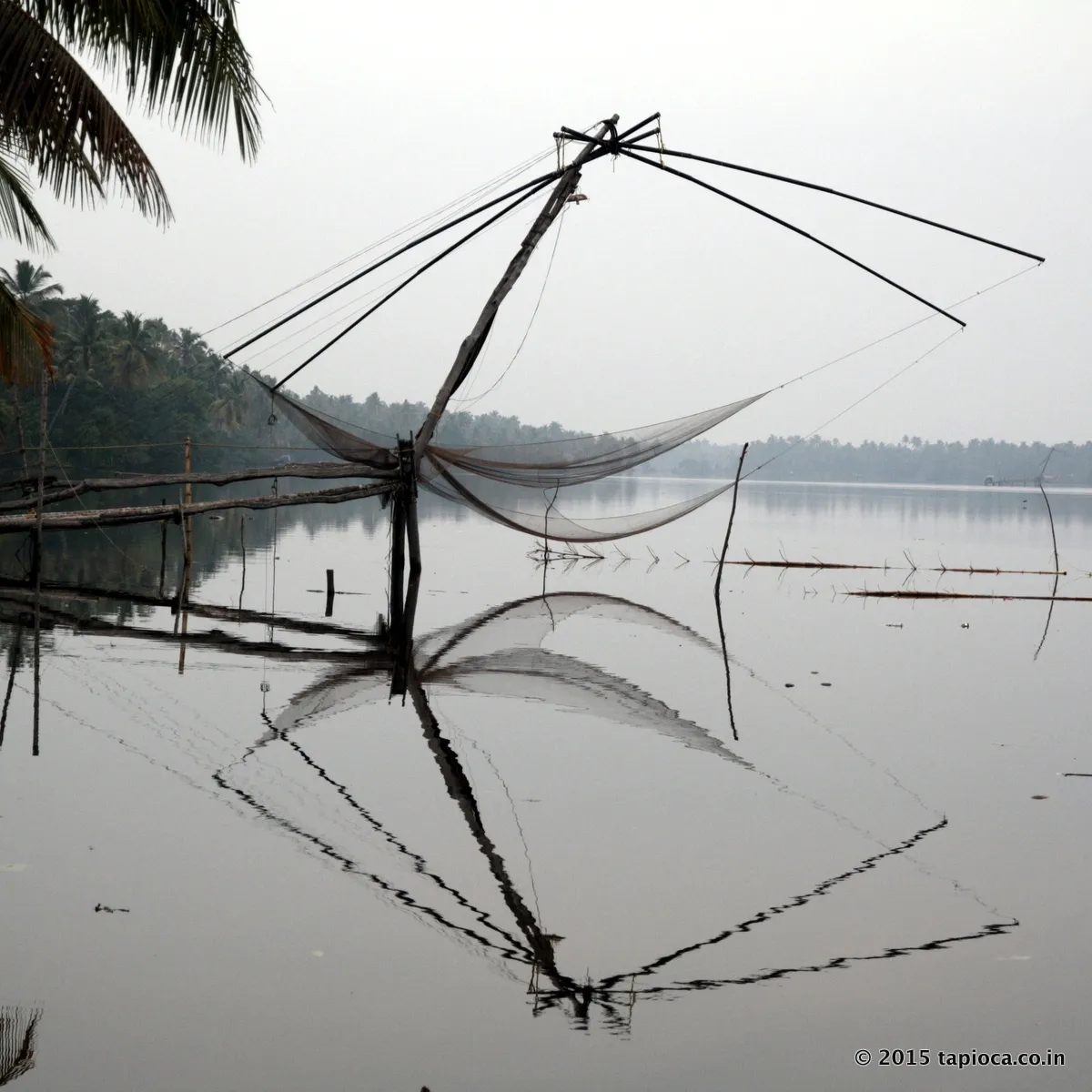 Chinese Fishing Net