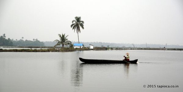 Fishing in Cherai lake