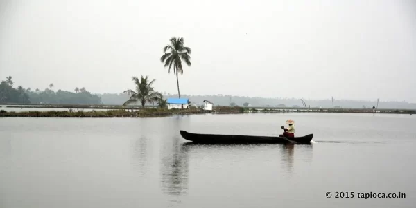 Fishing in Cherai lake