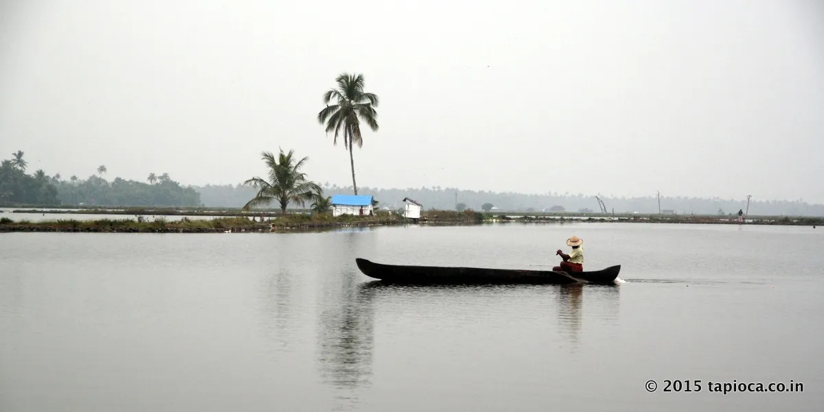 Fishing in Cherai lake