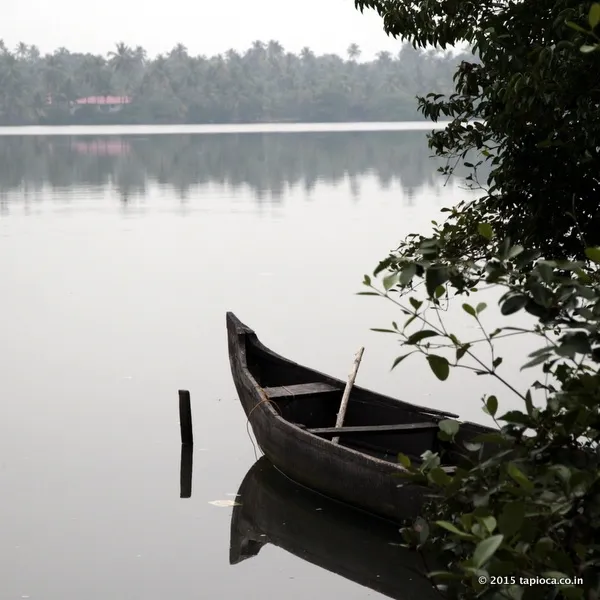 Backwaters across Cherai Beach 