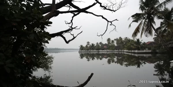 Club Mahindra resort in Cherai