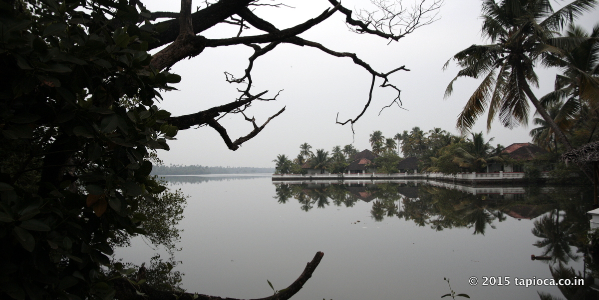 The resort is located at a unique location, it faces both the beach and backwaters.