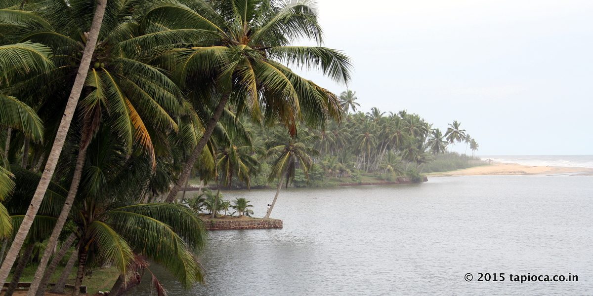 Kappil Backwaters and the beach in the background