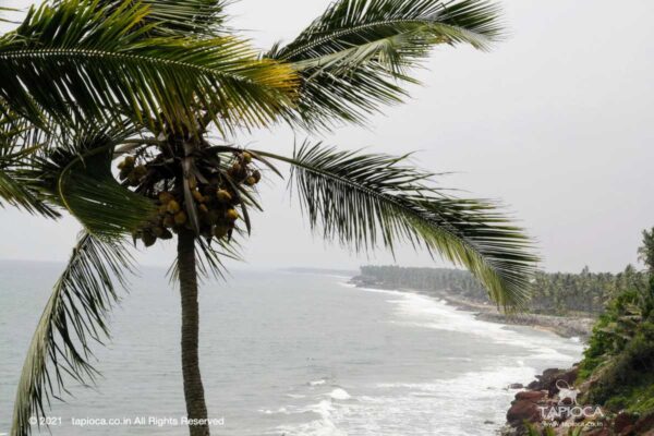 Varkala Beach