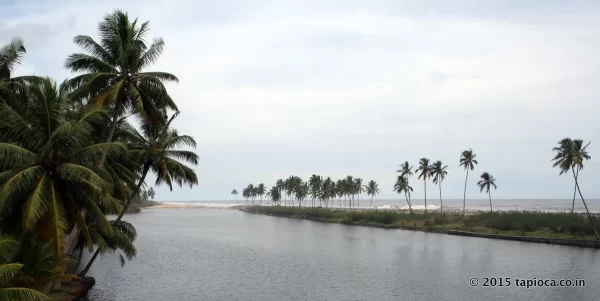 Kappil Beach and Backwaters
