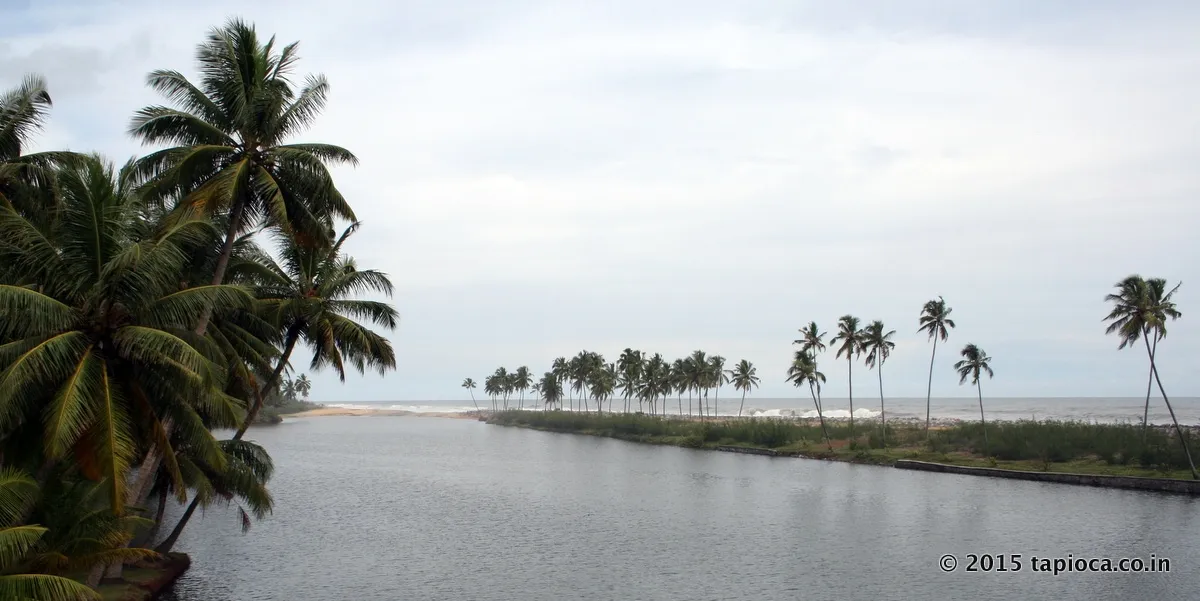 Kappil Beach and Backwaters