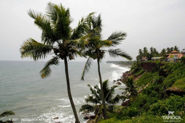 varkala Beach