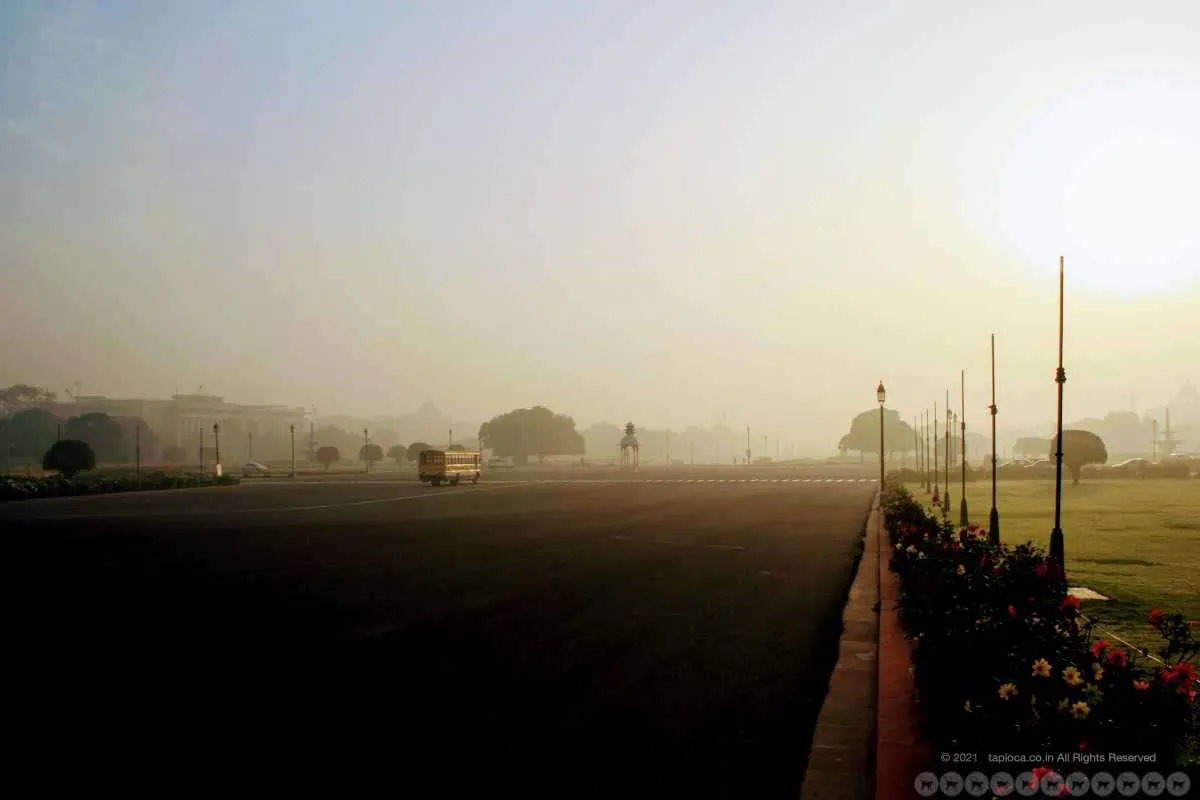New Delhi Winter Morning