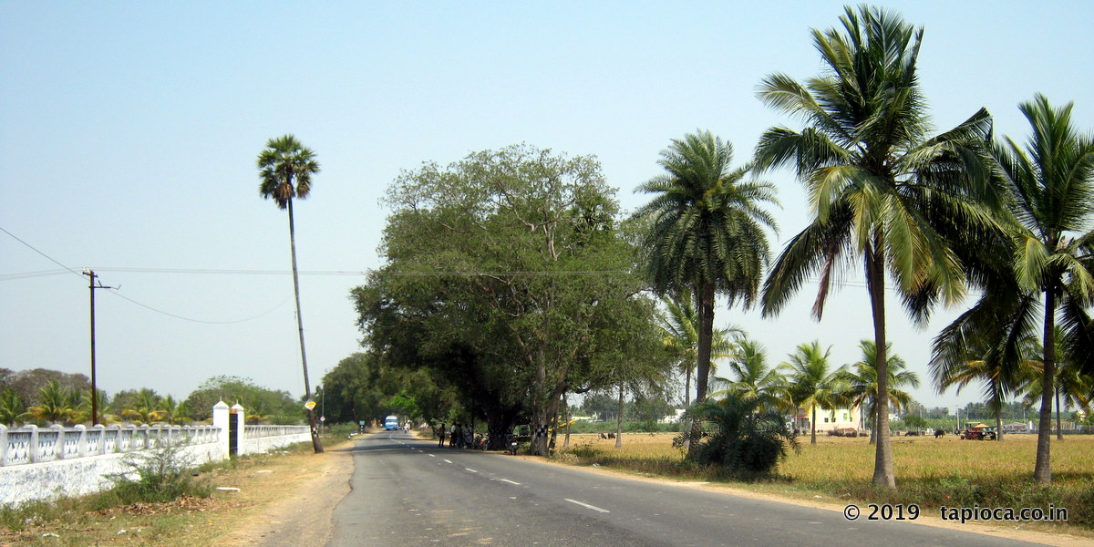 Road to Kanchipuram