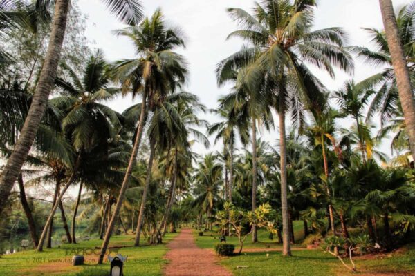 Resort in Bekal