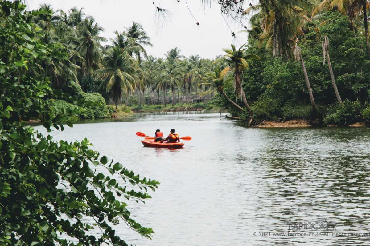 The shallow waters of the Kappil River that flows through the resort is ideal for Kayaking. One of the major outdoor activiti attraction in Taj Bekal resort.