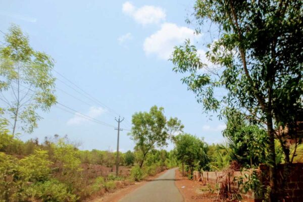 Road to Ananthapura Temple