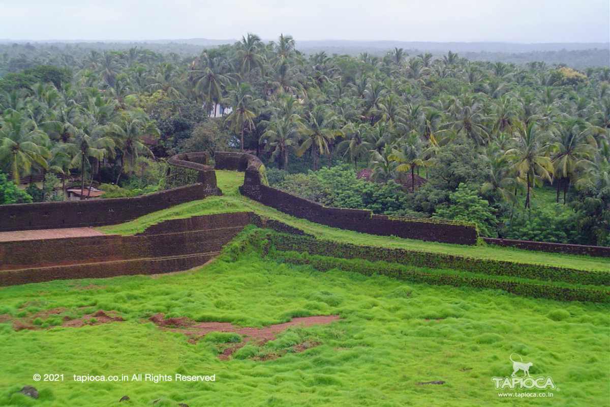 View of Bekal beach from the Bekal Fort 