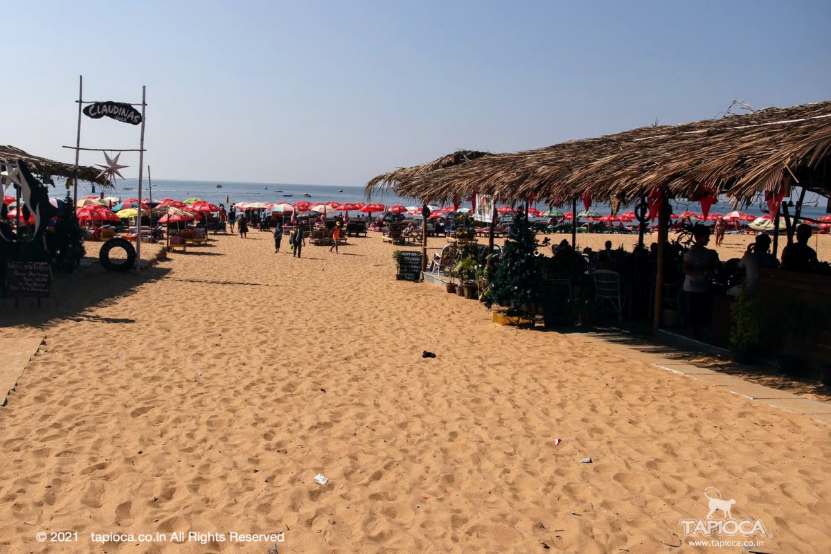 Shacks along the entry to the Candolim Beach
