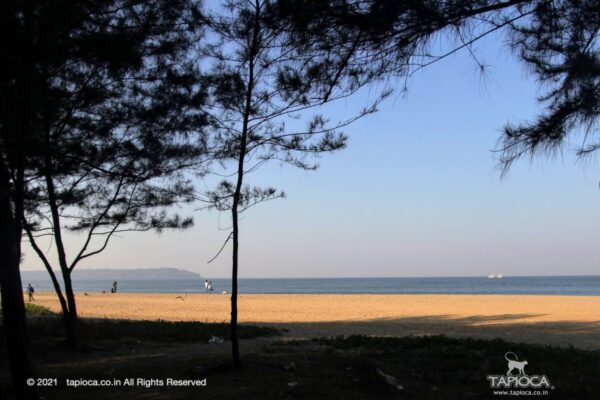 Miramar Beach Goa