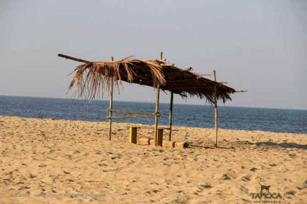 Thatched Shelter at Miramar Beach