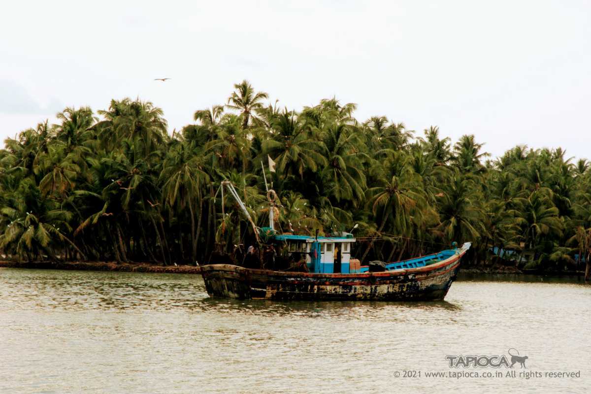 Fishing Boat in Kerala Backwater