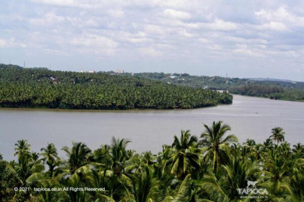 Kasaragod seen from Chandragiri Fort