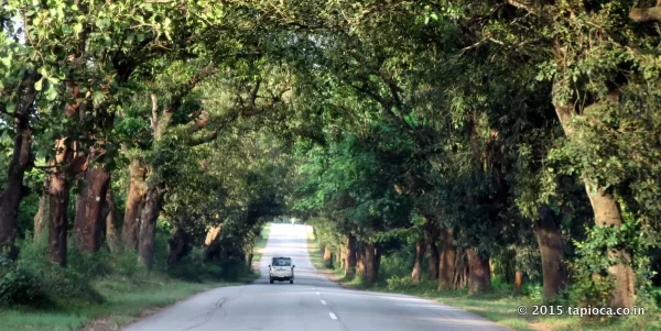 NH75 near Hassan