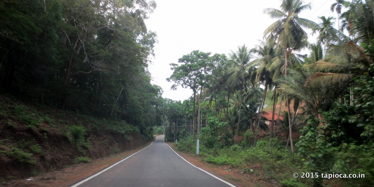 Road towards Kasaragod, as you enter Kerala state from Jalsoor in Karnataka.