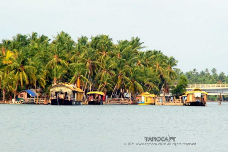 Valiyaparamba Backwaters Houseboat Jetty