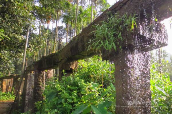 Aqueduct at Thirunelli Temple