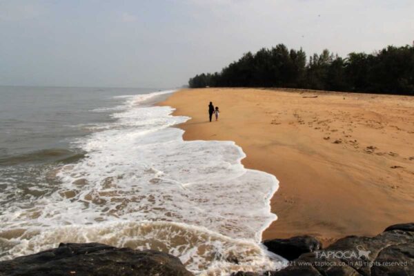 Kappil Beach near Vivanta by Taj - Bekal