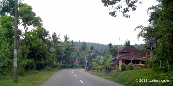Road Near Pulpally