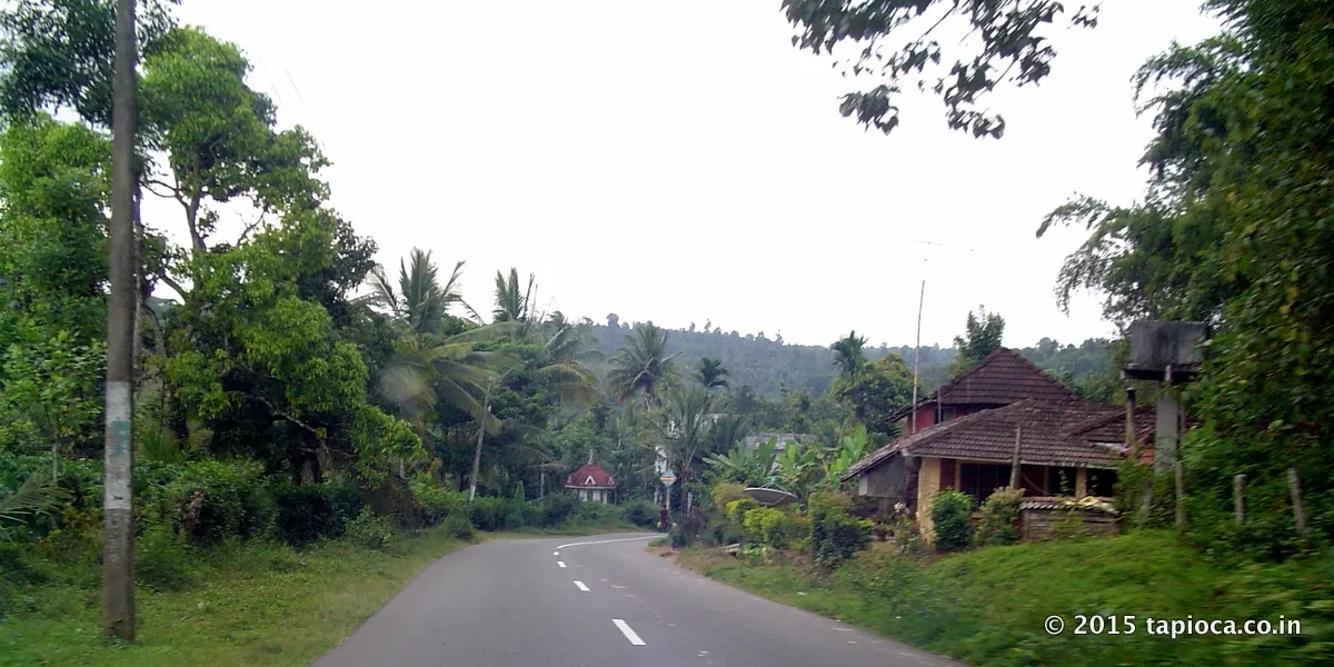 Road Near Pulpally