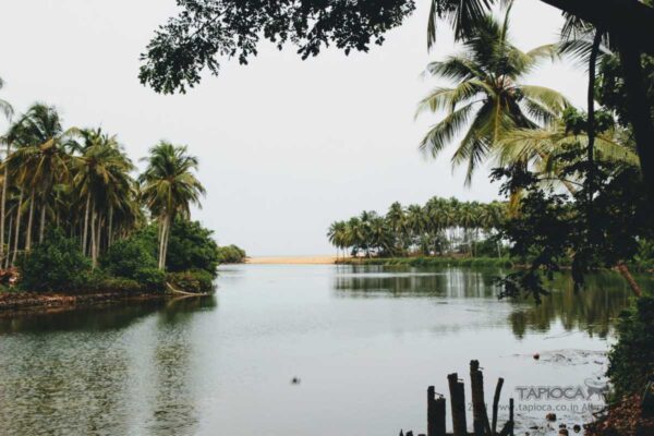 View of backwater and beach from Vivanta by Taj - Bekal