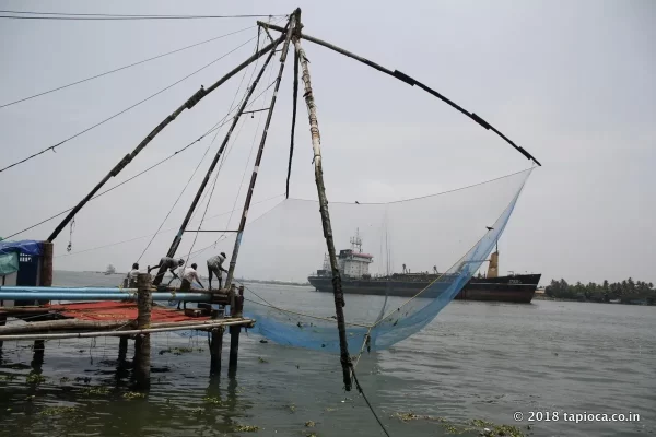 Fishing Net in Kochi