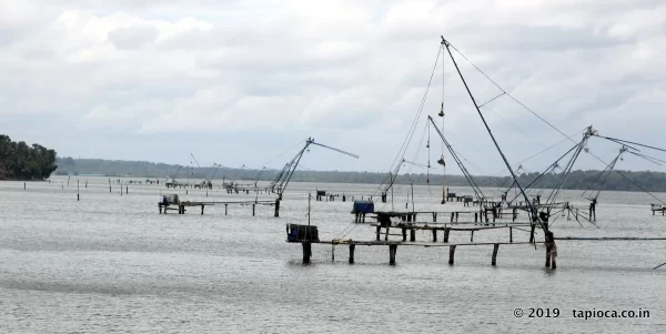 Chinese Fishing Nets near Club Mahindra Ashtamudi Resort