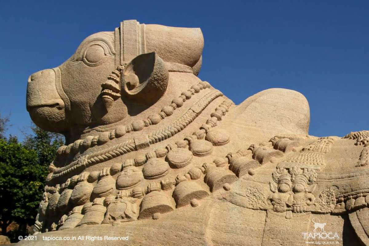 The single boulder carved Nandi in Lepakshi village