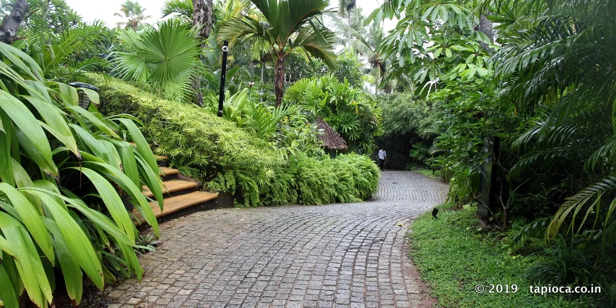 Rain Drenched Taj Resort at Kovalam