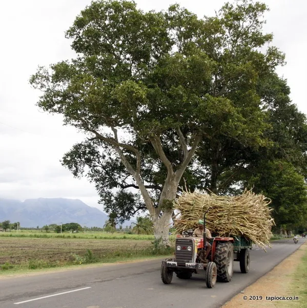 NH744 near Sengottai