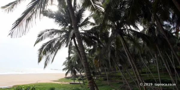 Poovar Beach