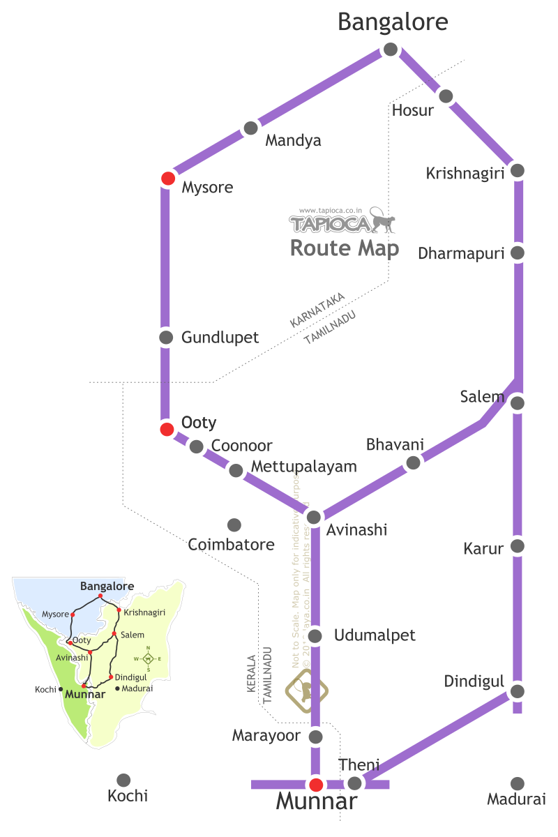 Bangalore to Munnar via Salem-Bhavani: Distance 480km

Bangalore to Munnar via Mysore & Ooty: Distance 560km.

Dindigul-Theni Route ( Munnar from Bangalore via Dindigul: Distance 550km