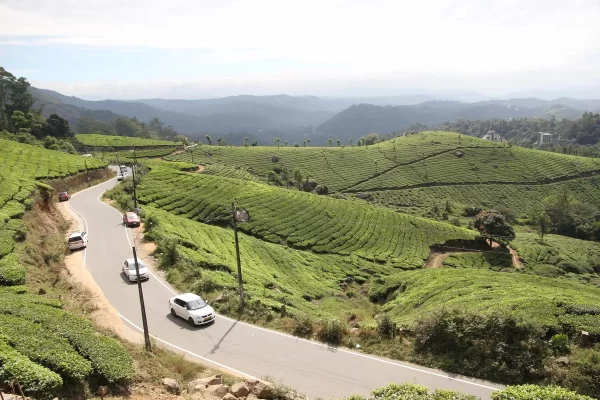 Road in Munnar