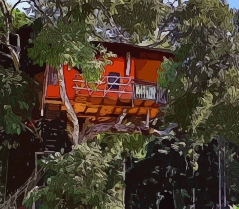 Not for the weak hearted ! This treetop home at the Elephant Valley resort is for the ones looking for a bit of added adventure to the stay in this resort. 