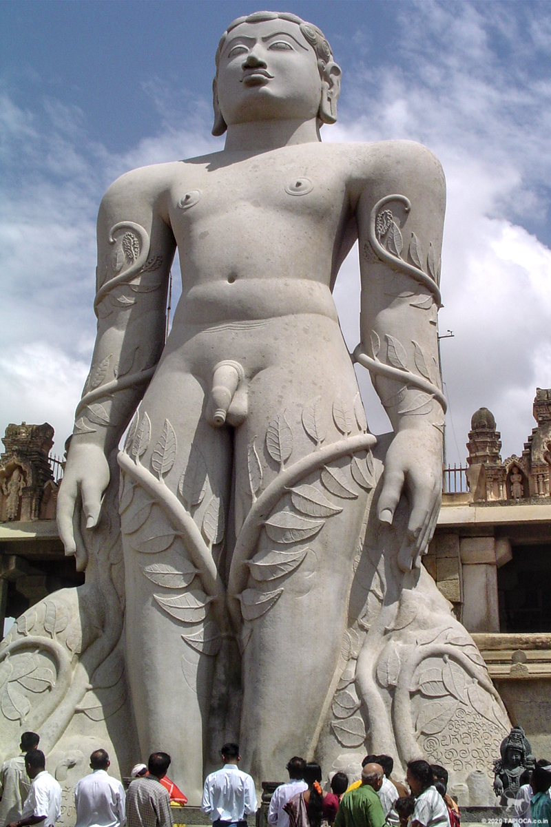 Bahubali, a much revered figure among Jains, was the son of Rishabhanatha and the younger brother of Bharata Chakravartin. He is said to have meditated motionless for a year in a standing posture and that during this time, climbing plants grew around his legs