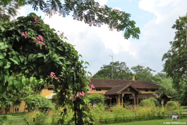 JLR in Kabini