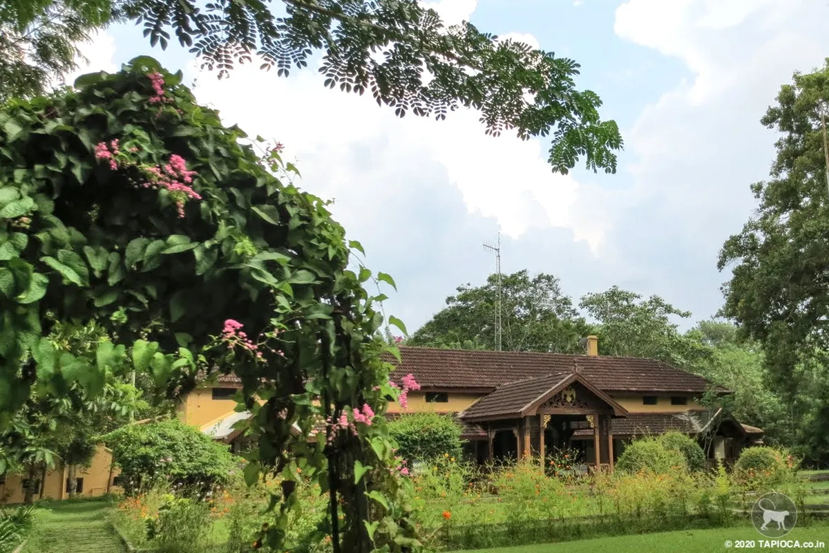JLR in Kabini