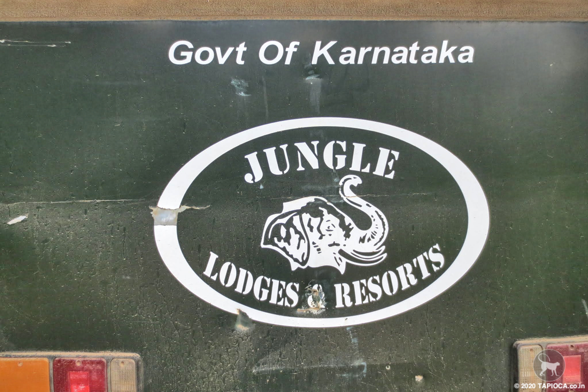 JLR logo on safari van
