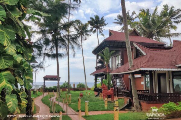 Resort is located at the Cliff top in Varkala