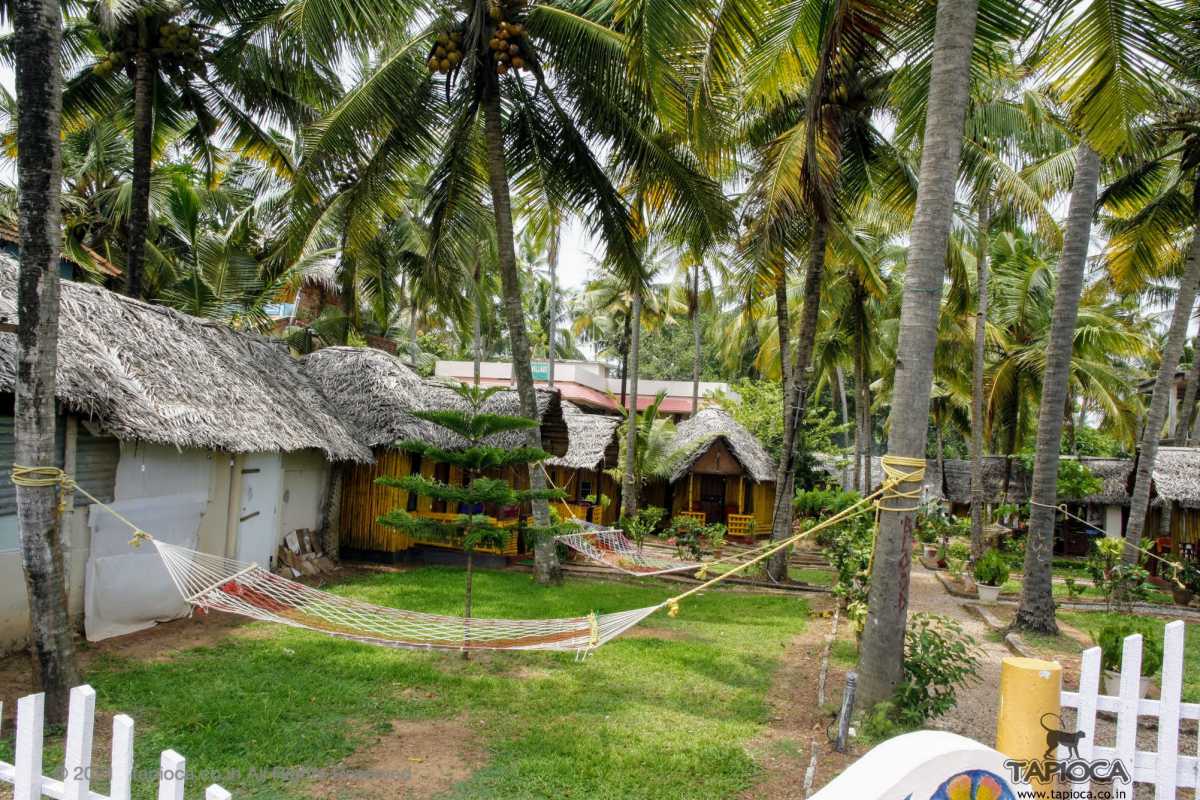 Varkala Cliff area is the popular location for budget resorts 