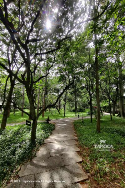 Trail to the Rooms inside Golden Landmark Mysore