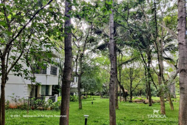 Villas overlooking the Garden in Golden Landmark Mysore