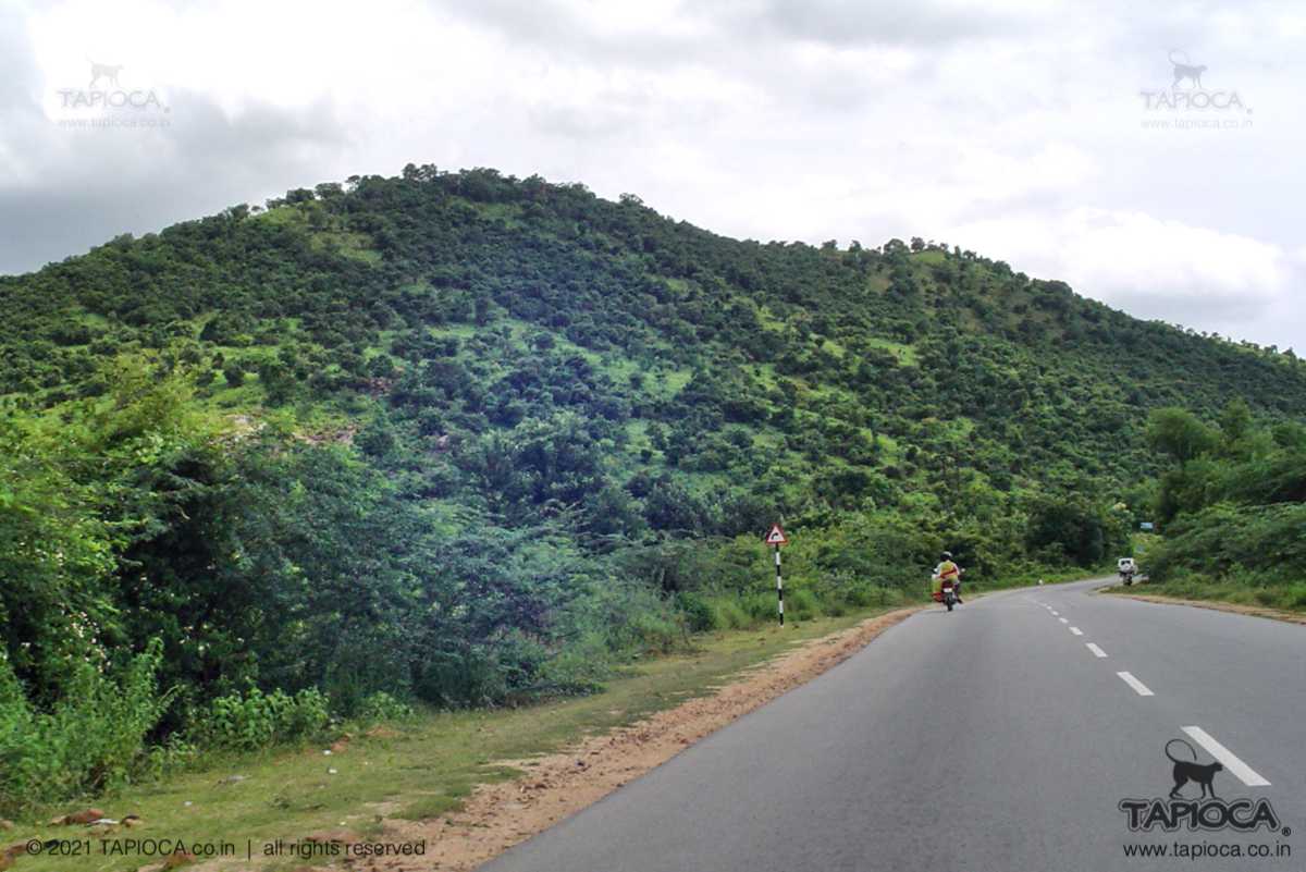 Road from Tiruttani to Tirupati and Sree Kalahasti