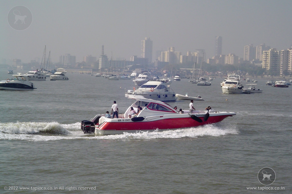 Speedboat in Mumbai marina 
